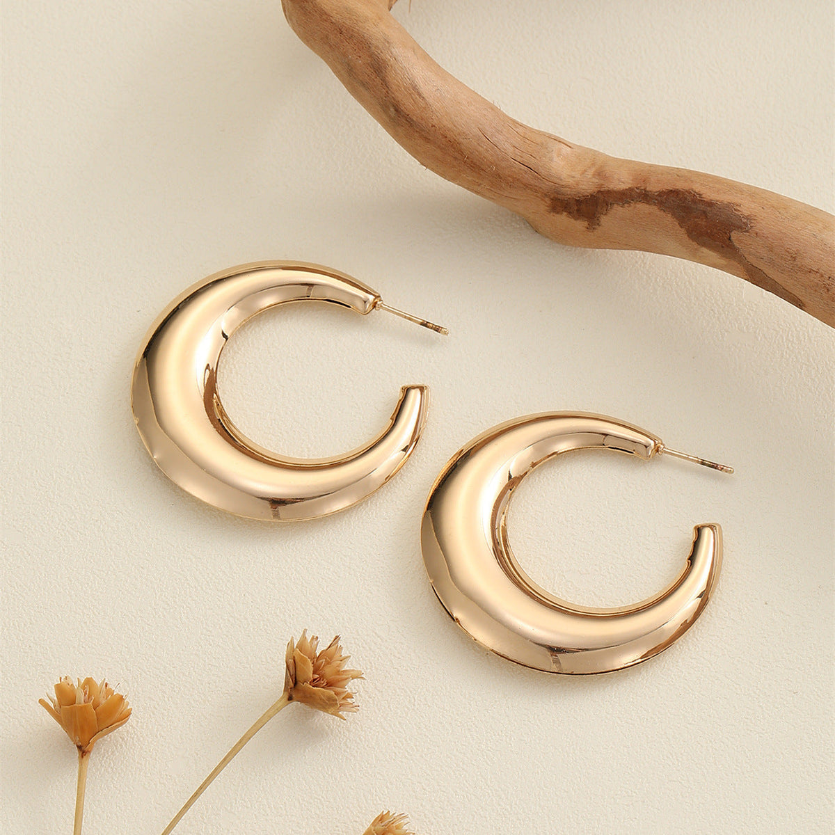 Women's Hanging Earrings in Modern Crescent Design
