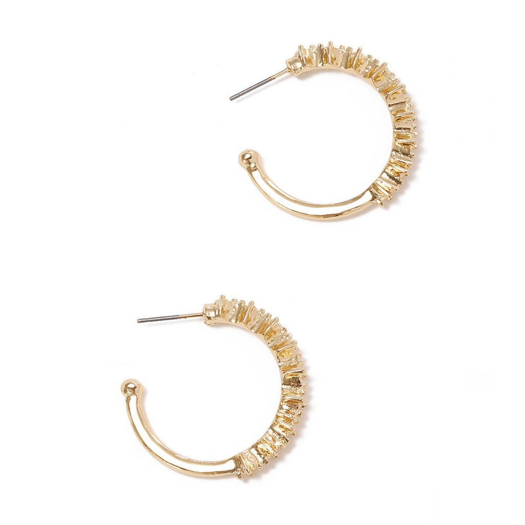 Ladies hoop earrings with intricate structures