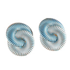 Women hair clips in modern shell design